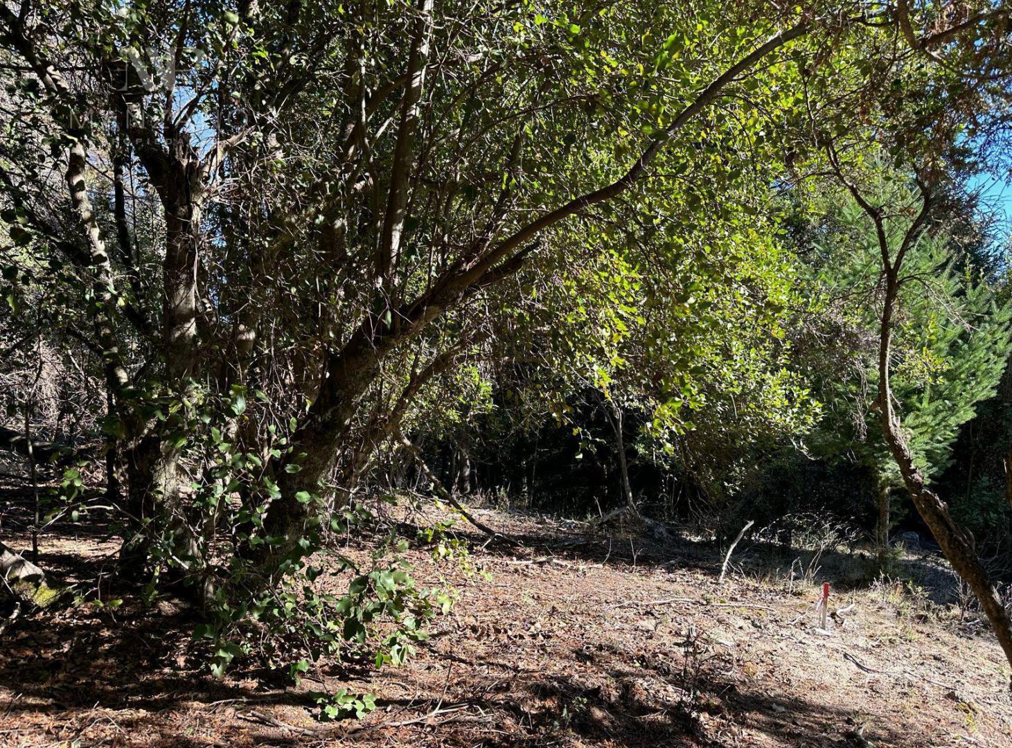 Foto de Venta Terreno / Lote 890 m2 PH Las Balsas - Villa la Angostura, imagen 2