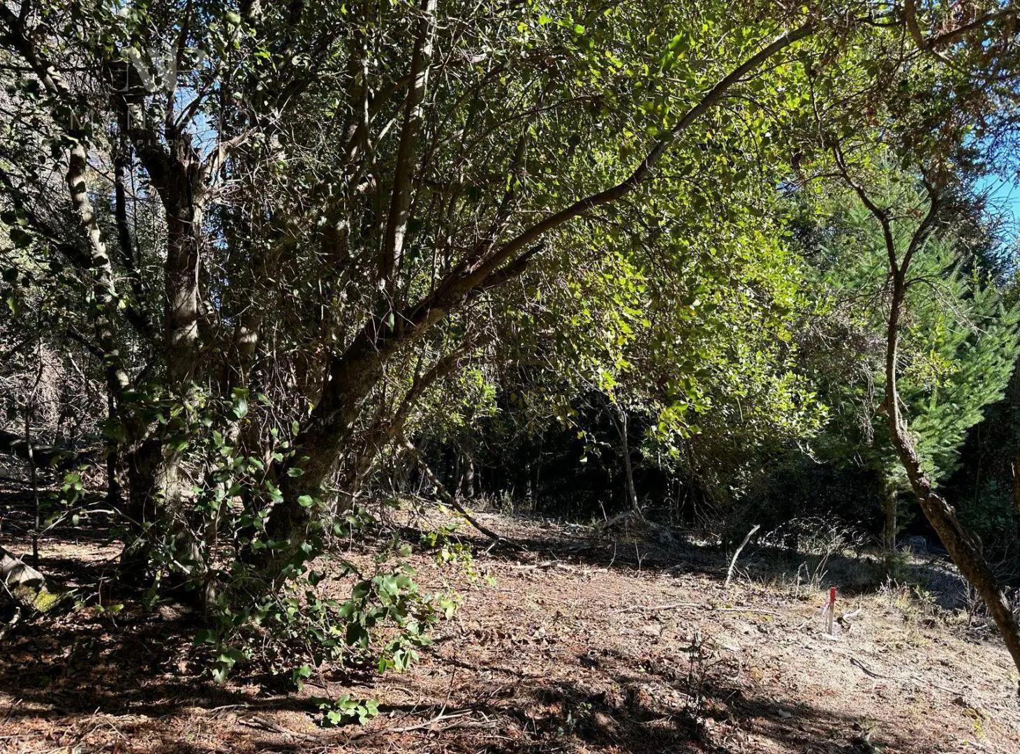 Venta Terreno / Lote 890 m2 PH Las Balsas - Villa la Angostura 2