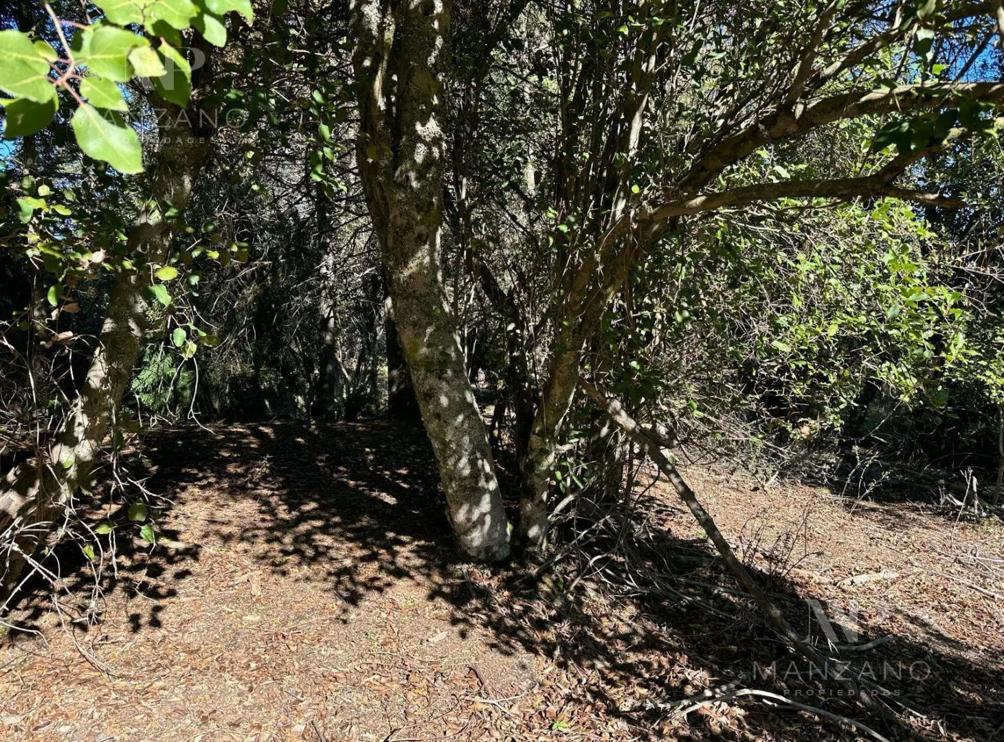 Venta Terreno / Lote 890 m2 PH Las Balsas - Villa la Angostura 3