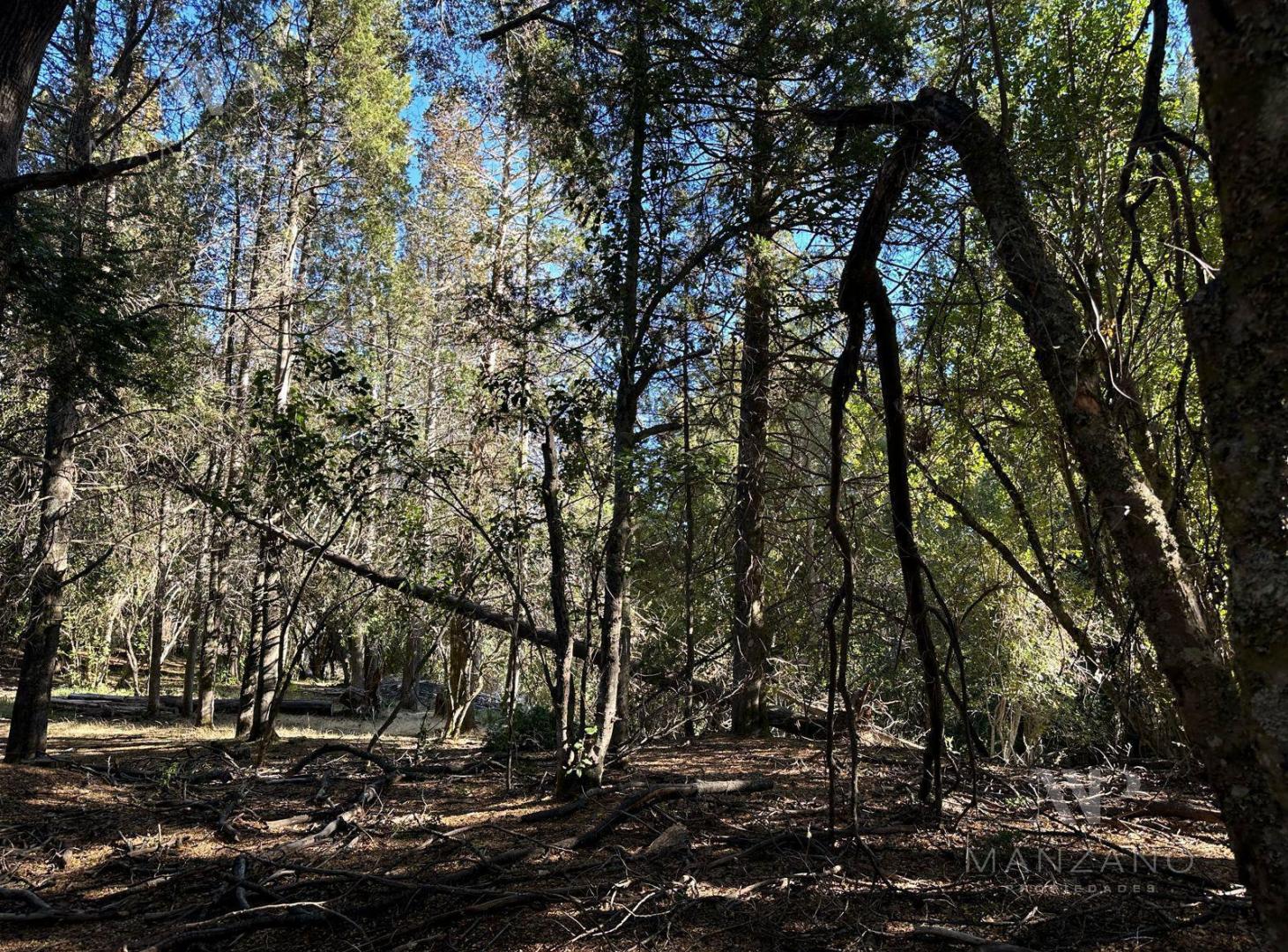 Foto de Venta Terreno / Lote 890 m2 PH Las Balsas - Villa la Angostura, imagen 5