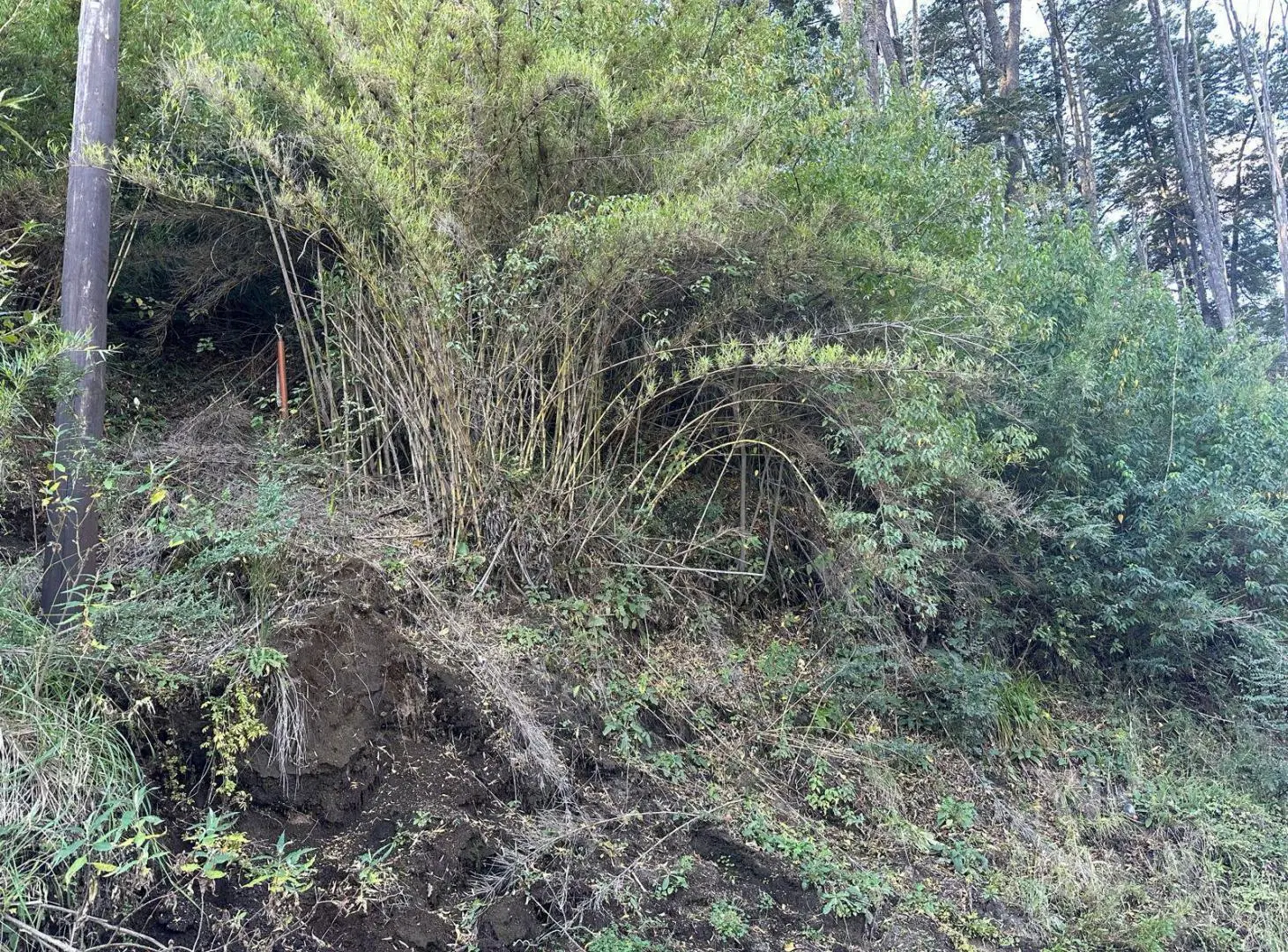 Venta Terreno 1053 m2 Barrio Las Balsas - Villa la Angostura 5