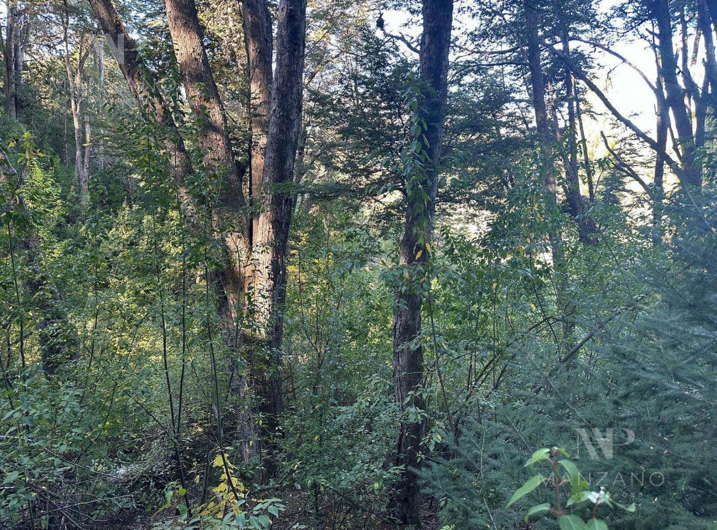 Foto de Venta Terreno 1053 m2 Barrio Las Balsas - Villa la Angostura, imagen 3