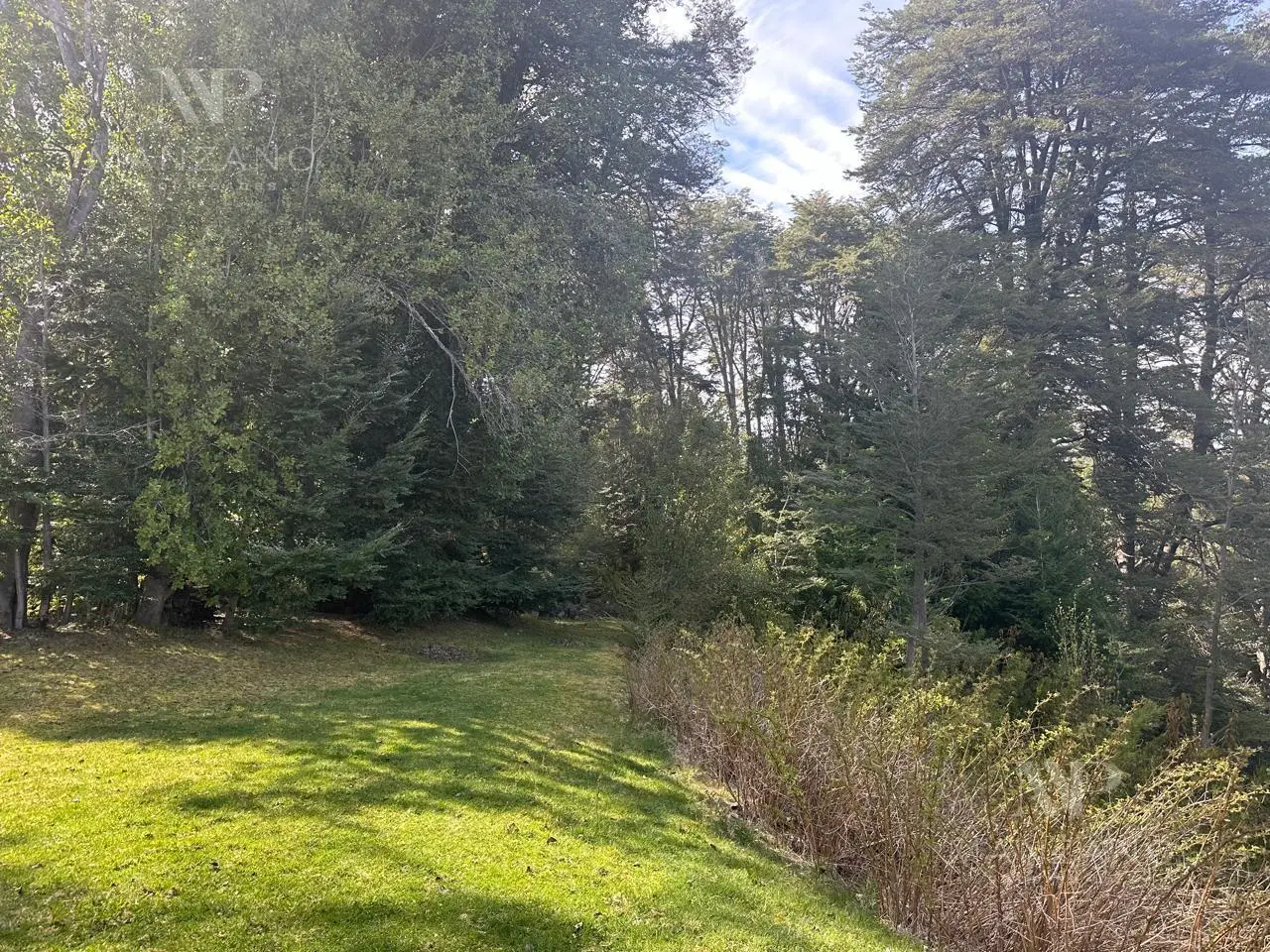Venta terreno 1617 m2 vista al lago - Barrio Los Rododendros - Villa la Angostura 2