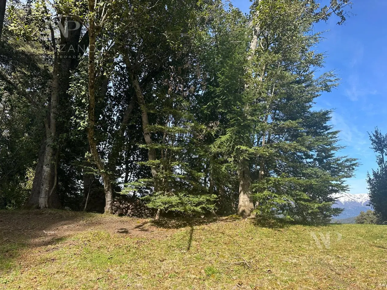 Venta terreno 1617 m2 vista al lago - Barrio Los Rododendros - Villa la Angostura 4