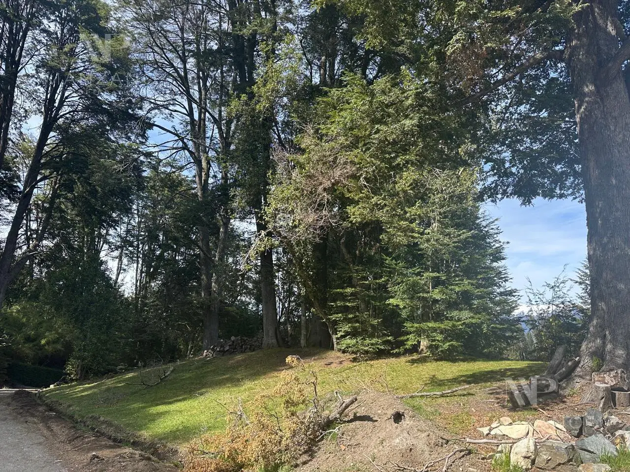 Venta terreno 1617 m2 vista al lago - Barrio Los Rododendros - Villa la Angostura 8
