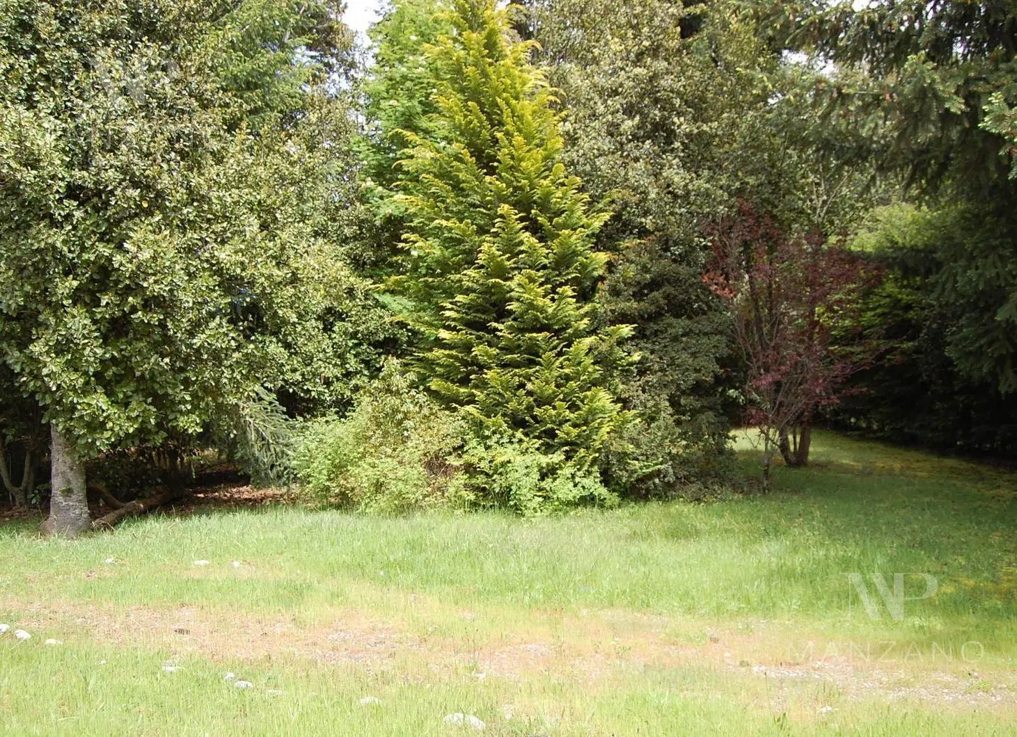 Venta Casa 90 m2 sobre Lote de 2000m2-Epulafquen-Villa La angostura 3