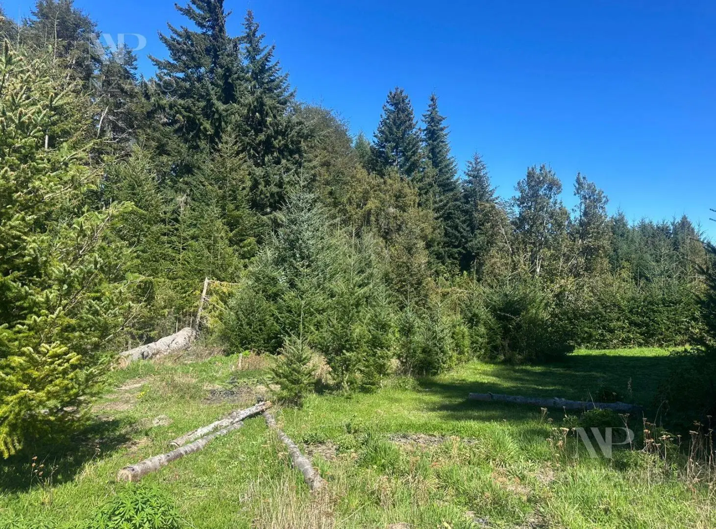 Venta Terreno / Lote 4 de 903 m2 acceso al Lago - Villa la Angostura 3