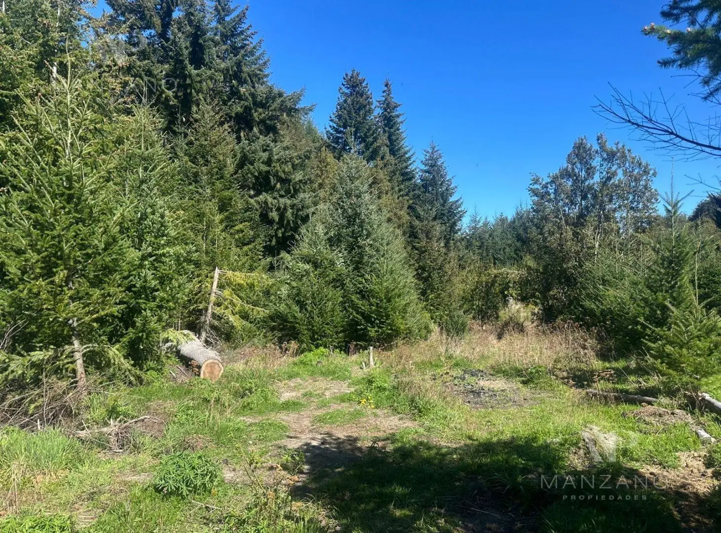 Venta Terreno / Lote 4 de 903 m2 acceso al Lago - Villa la Angostura 4