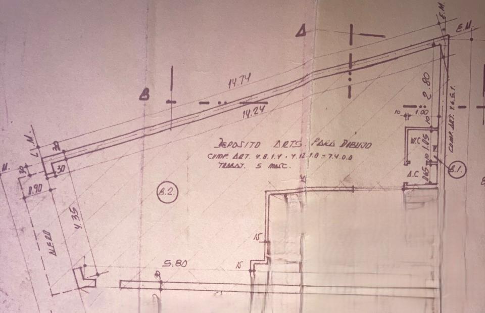 Foto de ALQUILER DEPOSITO DE 65M2 APTO PROFESIONAL EN VILLA MARTELLI, imagen 3