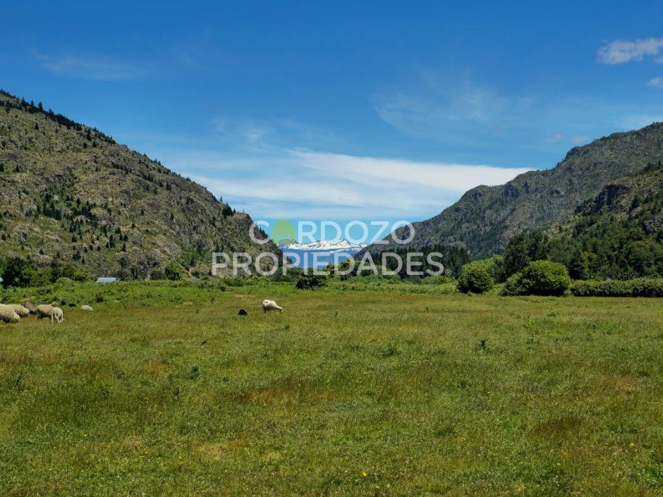 Foto de 10 HECTÁREAS EN DESEMBOQUE, EL HOYO. (108.000 m²), imagen 1