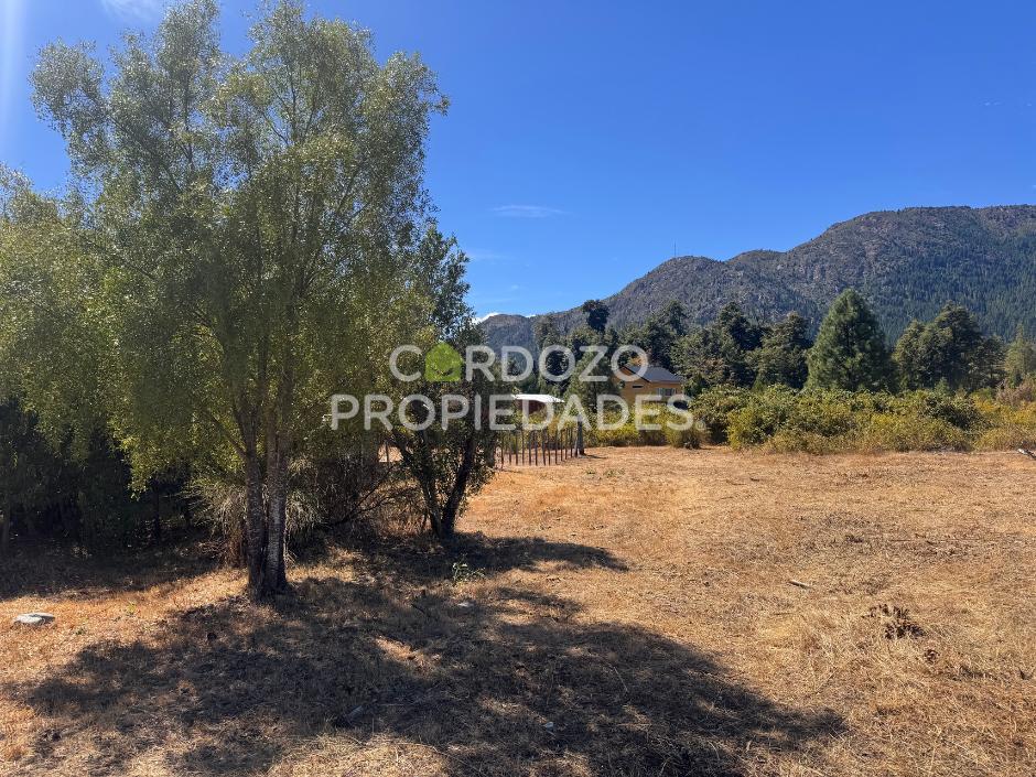 Foto de TERRENO DE 900 m² EN LAGO PUELO, imagen 5
