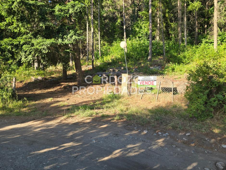 Foto de CASI 3 HECTÁREAS EN LAGO PUELO, CENTRO (29.231 M²), imagen 4