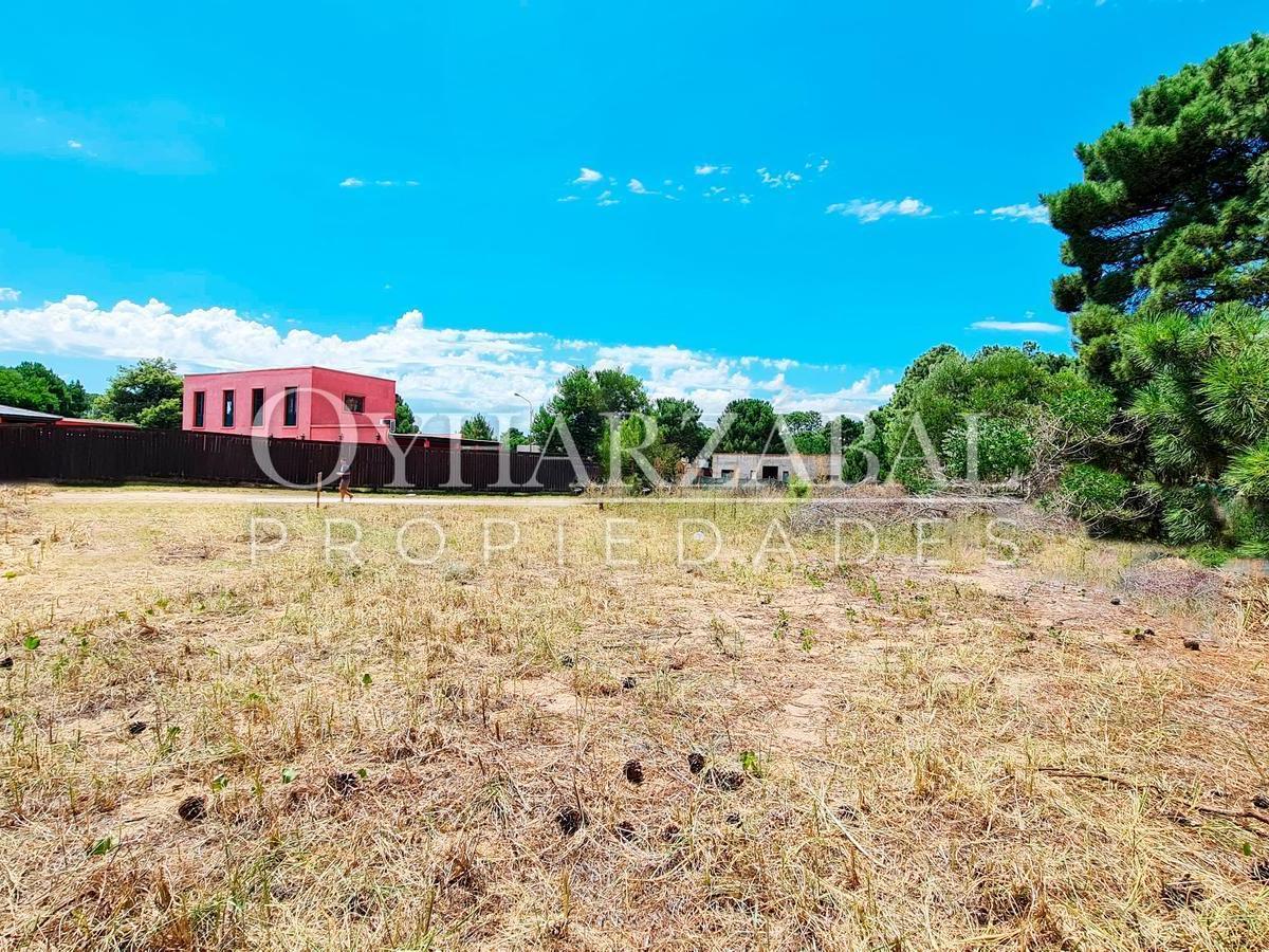 Foto de Terreno en venta, imagen 2