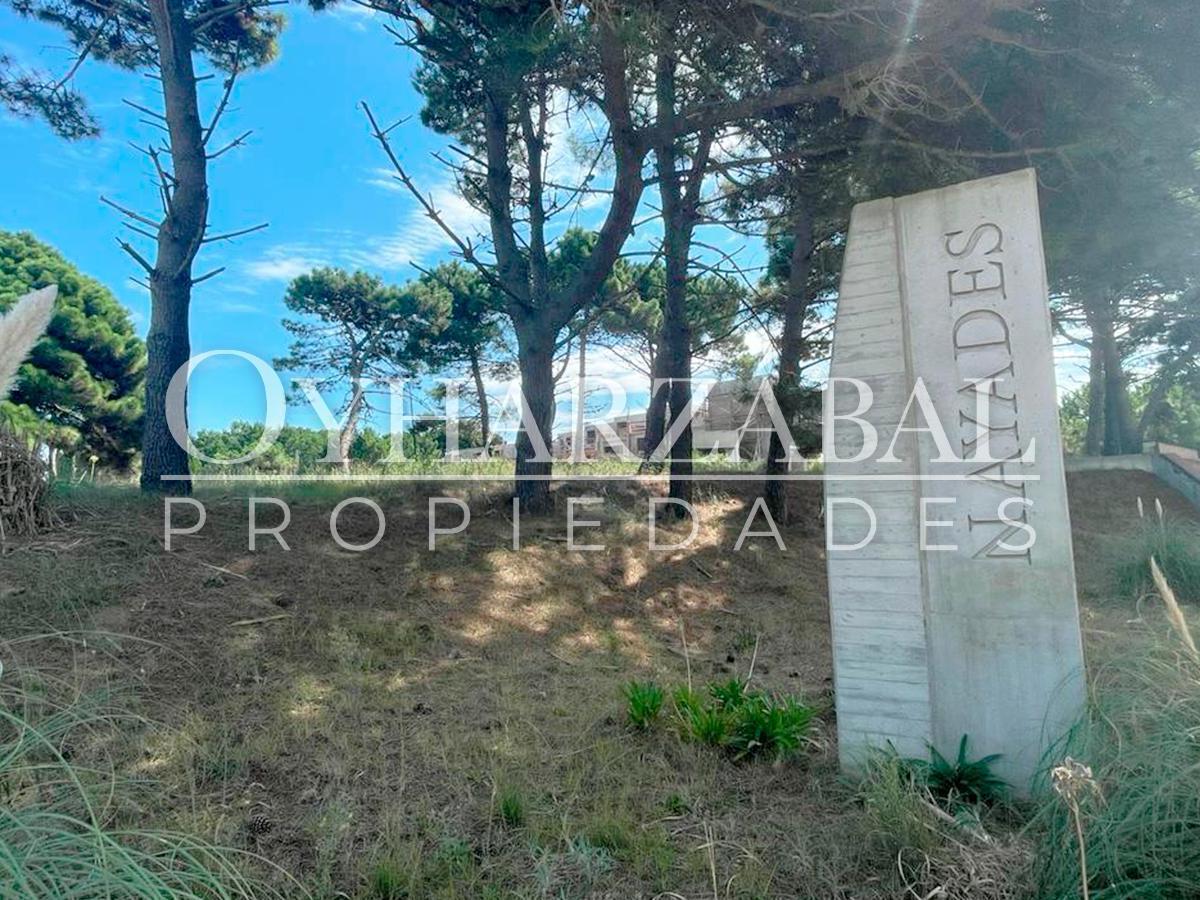 Foto de Terreno en venta, imagen 3