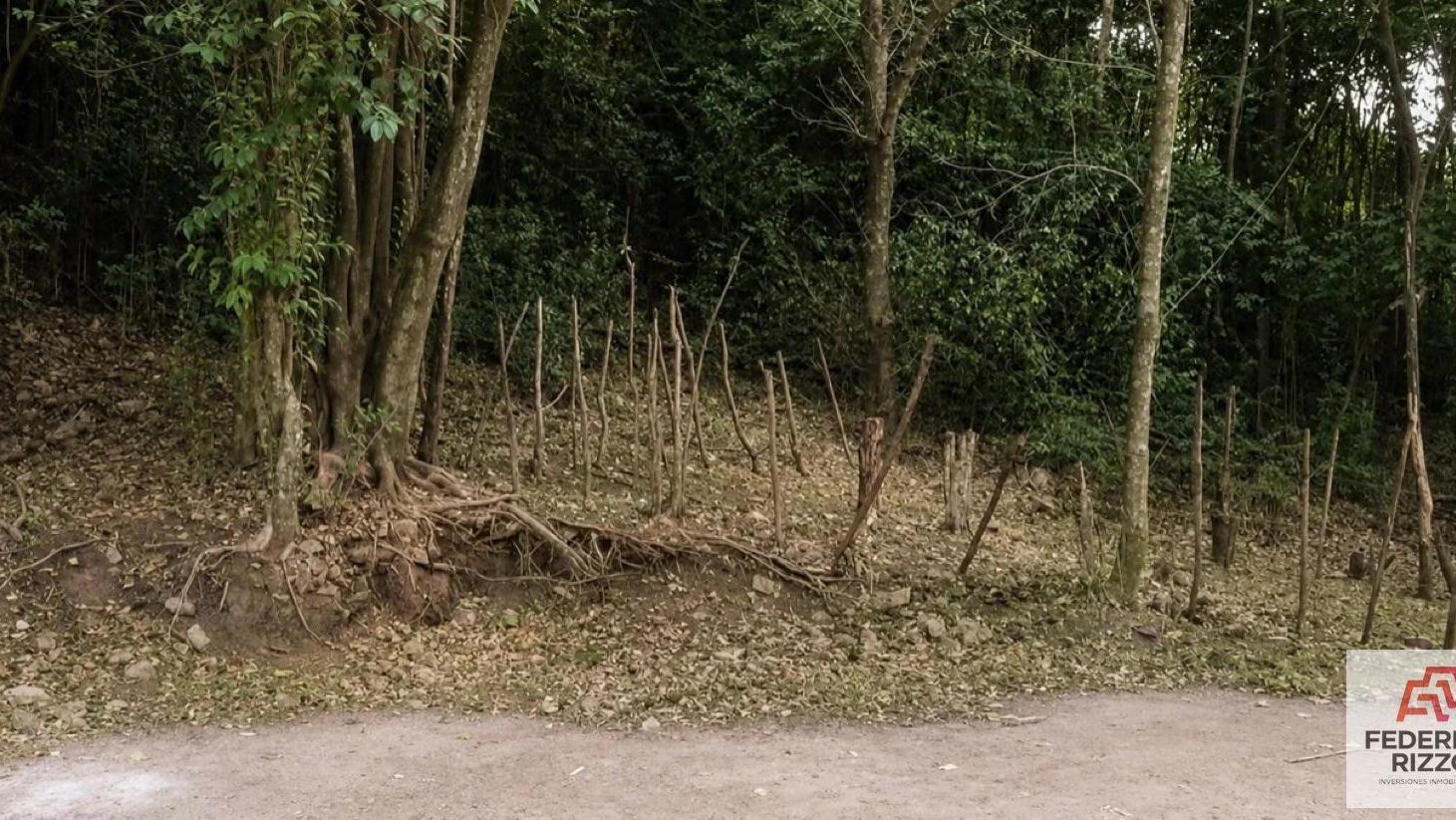 Foto de Venta de Terreno en Rio Ceballos., imagen 2