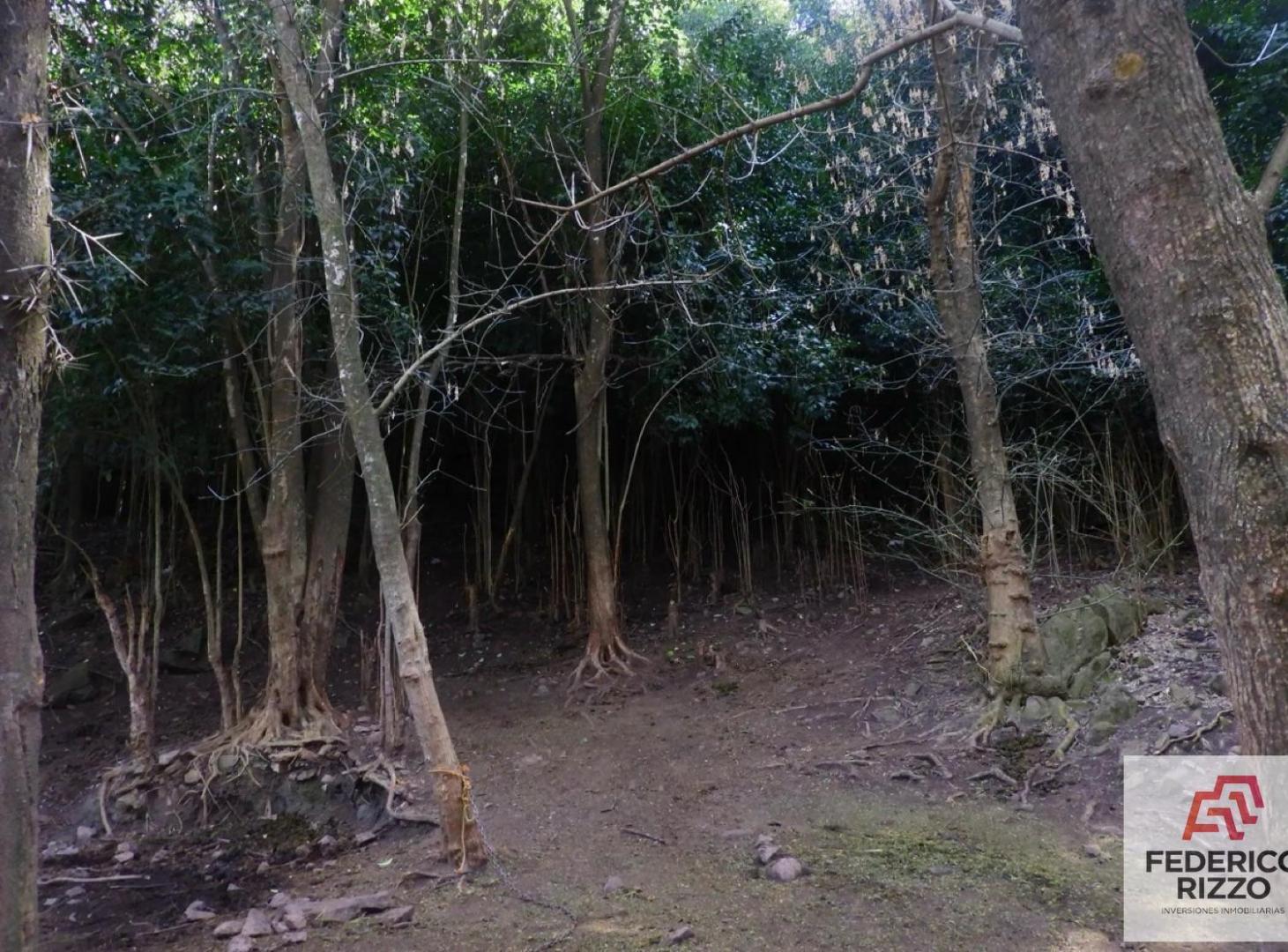 Foto de Venta de Terreno en Rio Ceballos., imagen 5