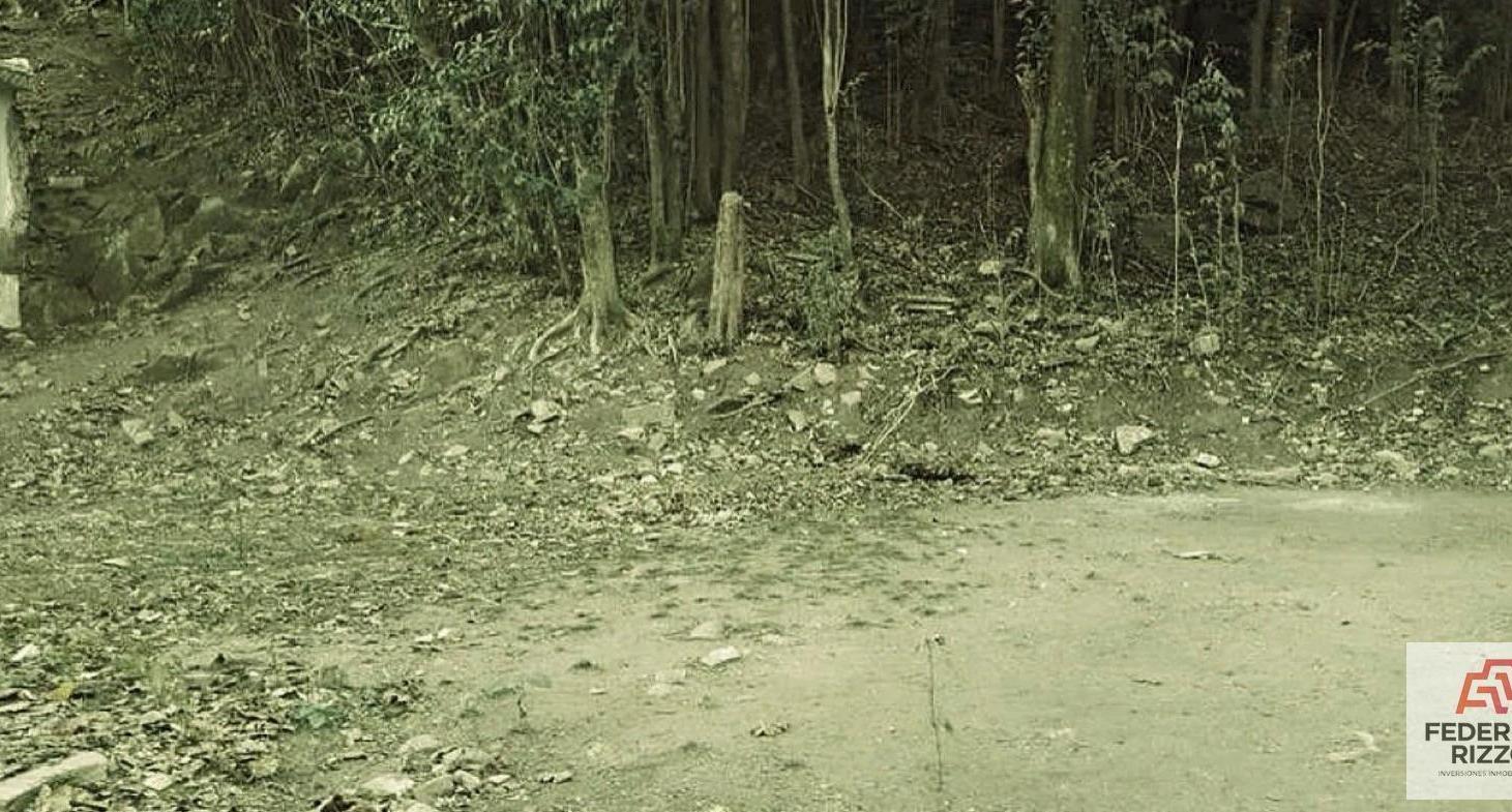 Foto de Venta de Terreno en Rio Ceballos., imagen 3