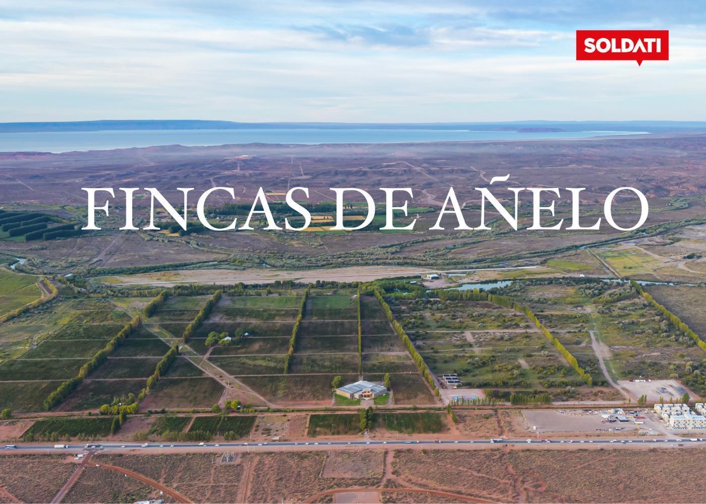 Foto de Urbanización única en Vaca Muerta, imagen 3