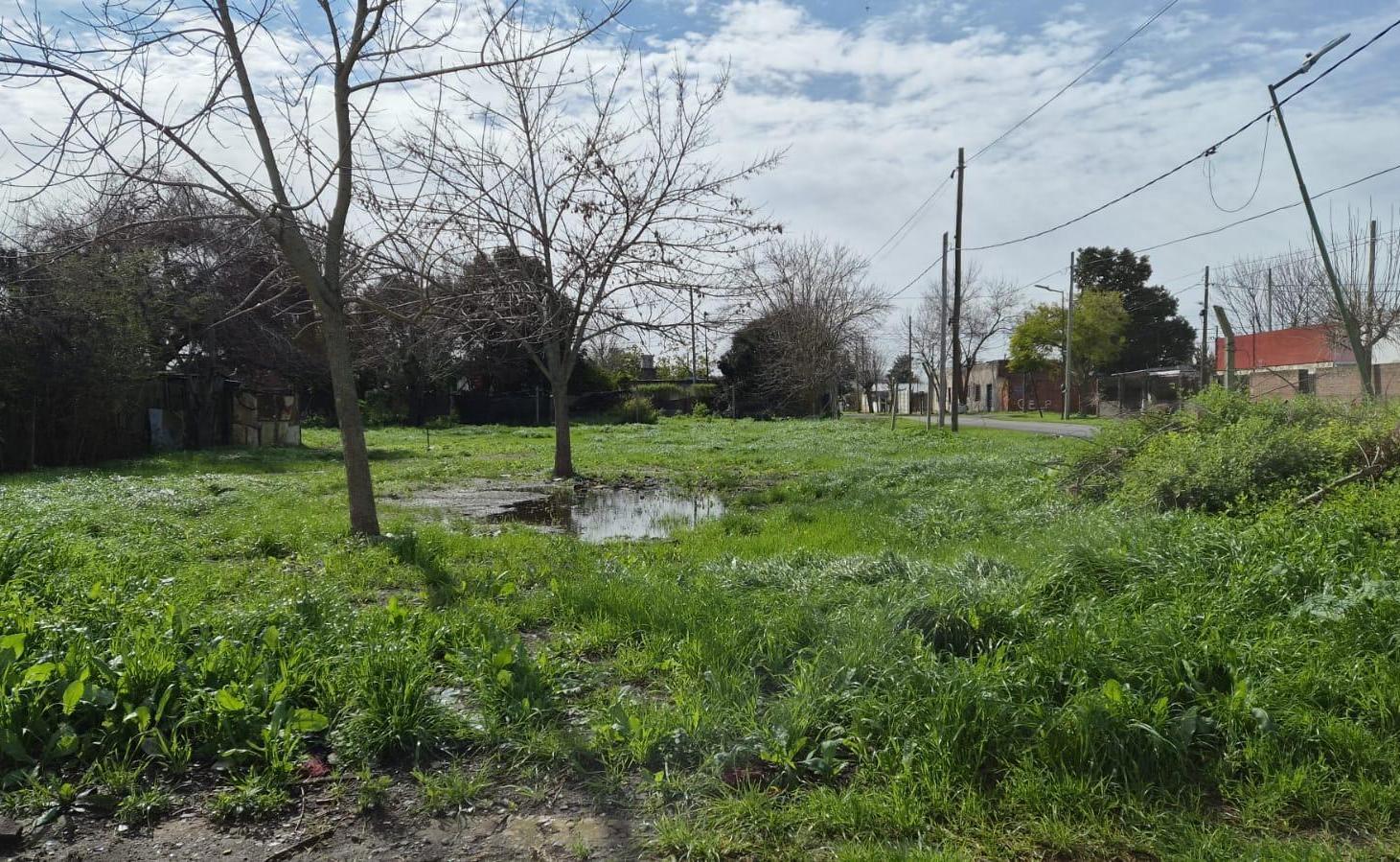Foto de Terreno en La Plata, imagen 4