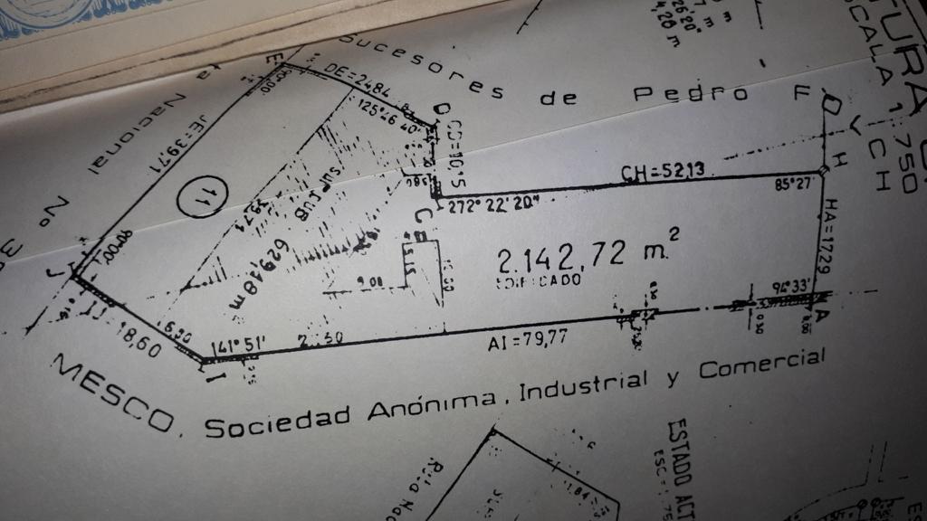 Plano 3