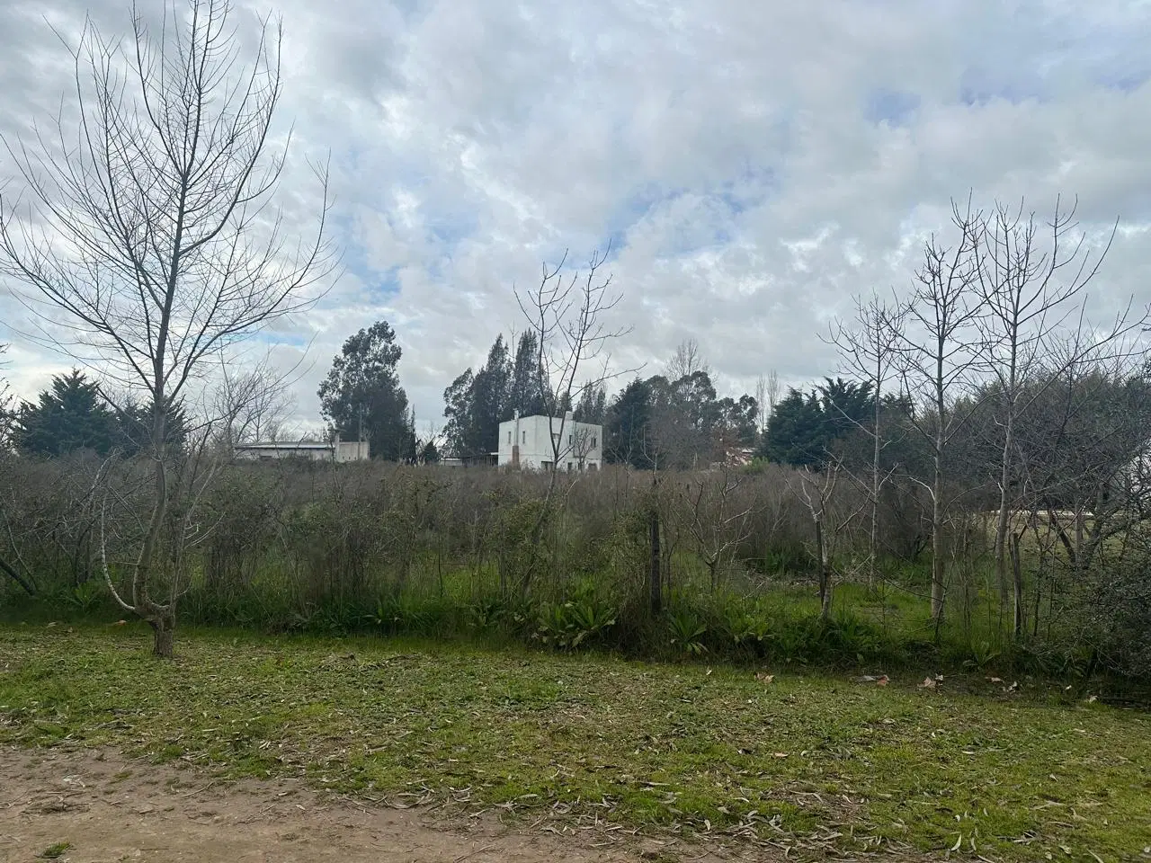 Terreno en venta en El Pato 2