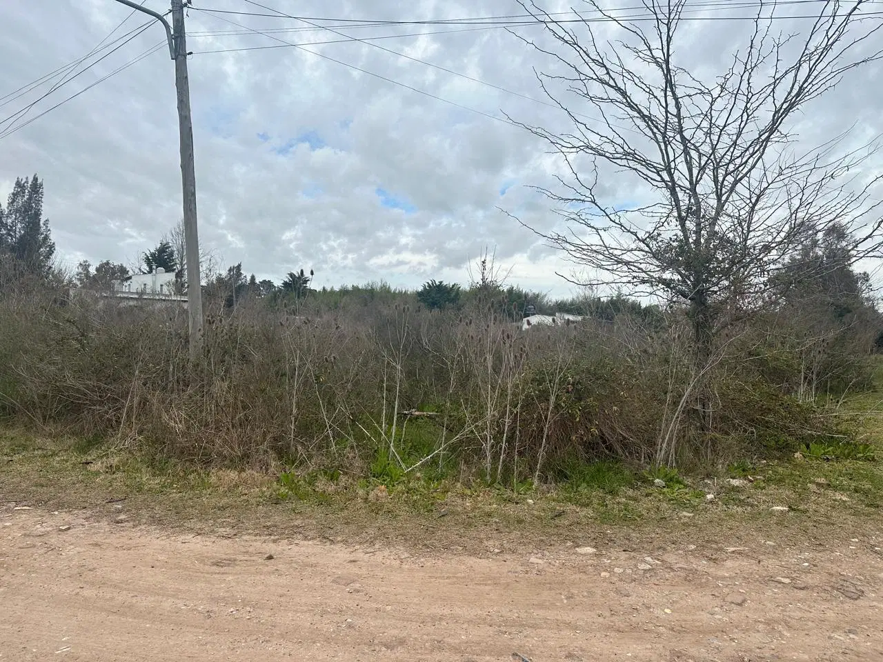 Terreno en venta en El Pato 4