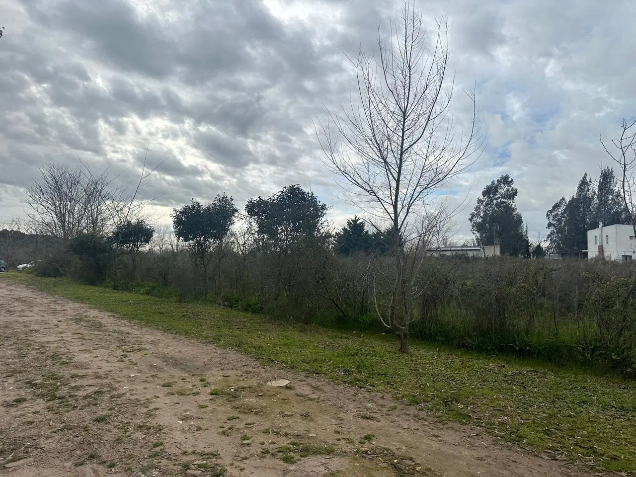 Terreno en venta en El Pato 1