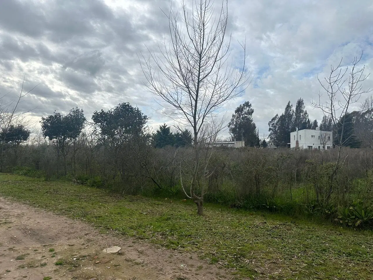 Terreno en venta en El Pato 5