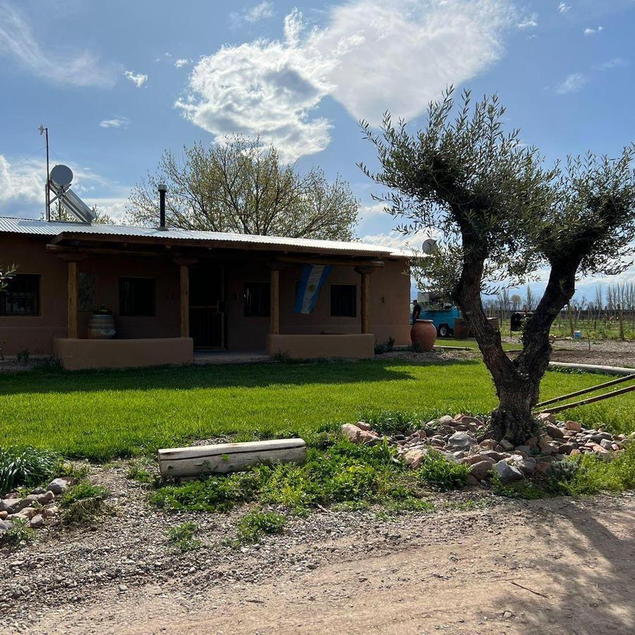 Foto de FINCA ROSA BLANCA TUNUYAN, imagen 4