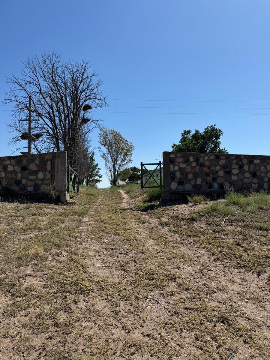 El Carrizal de Abajo - m Km 48 2