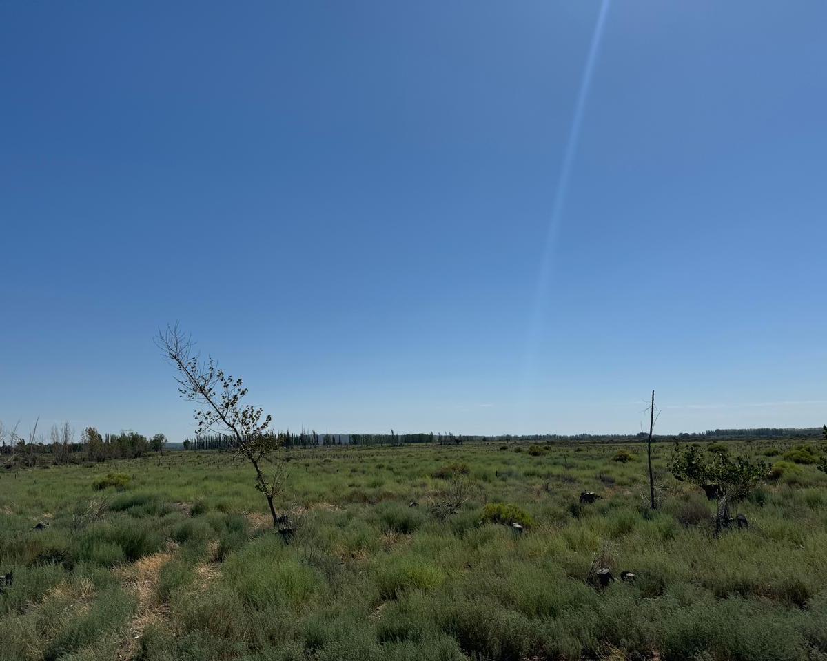 El Carrizal de Abajo - m Km 48 4