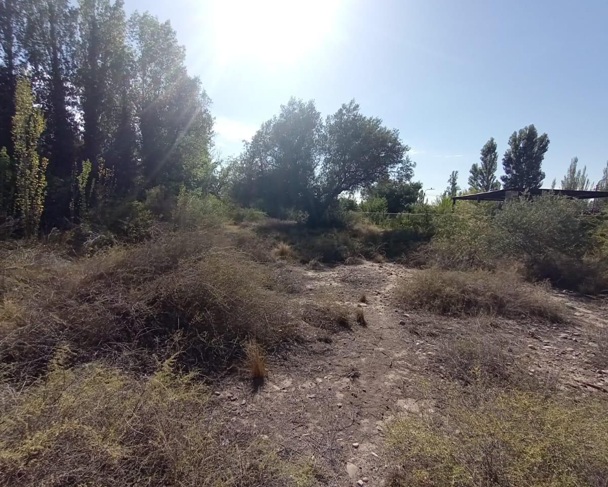 Terreno en Vistalba 2