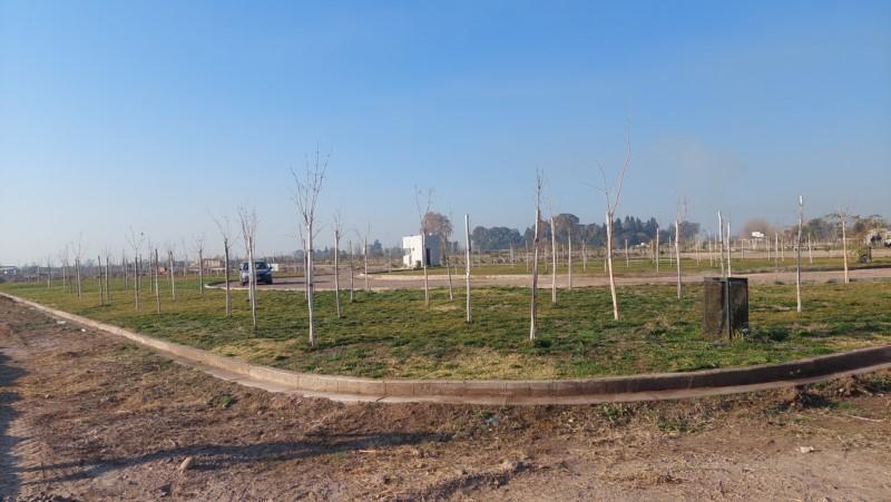 El Bosque - Don Bosco S/n Rodeo del Medio a 300 m del Acceso Este 3