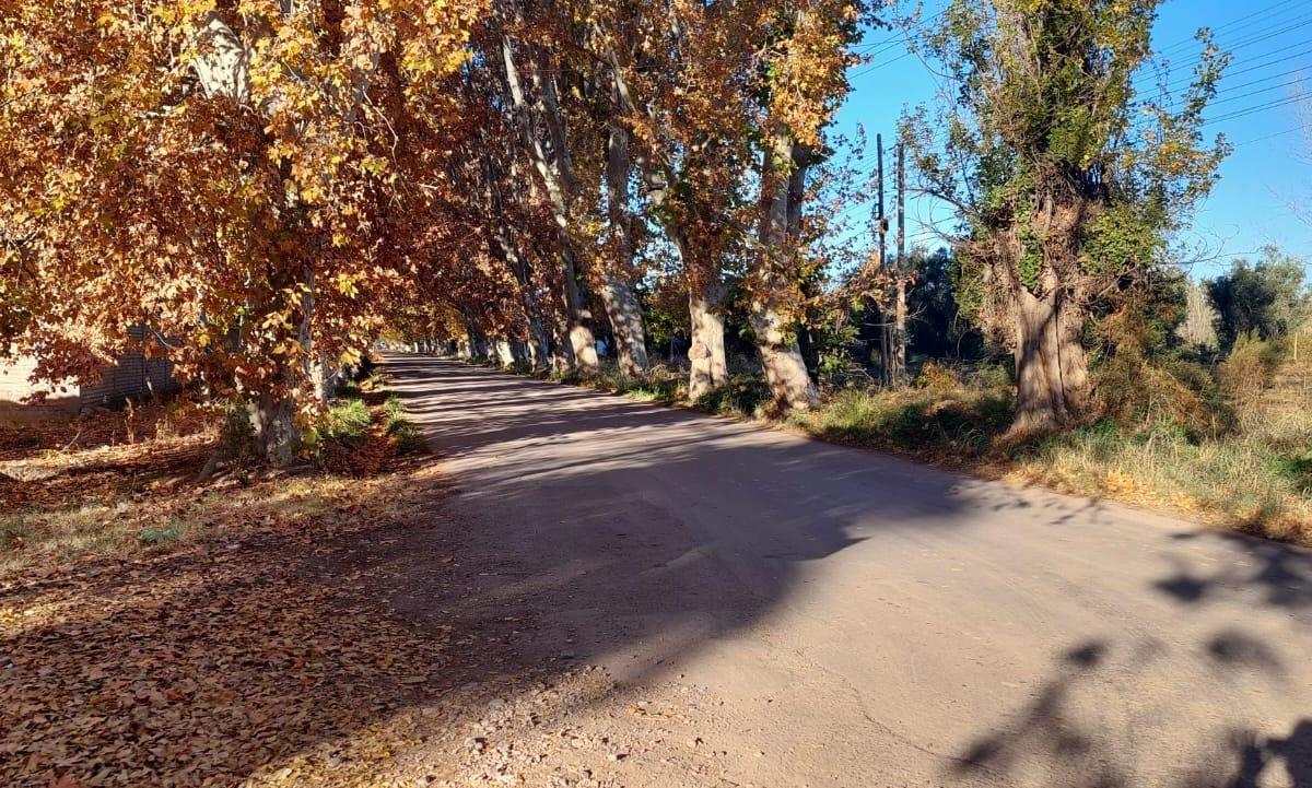Importante Terreno Sobre Calle Terrada 1