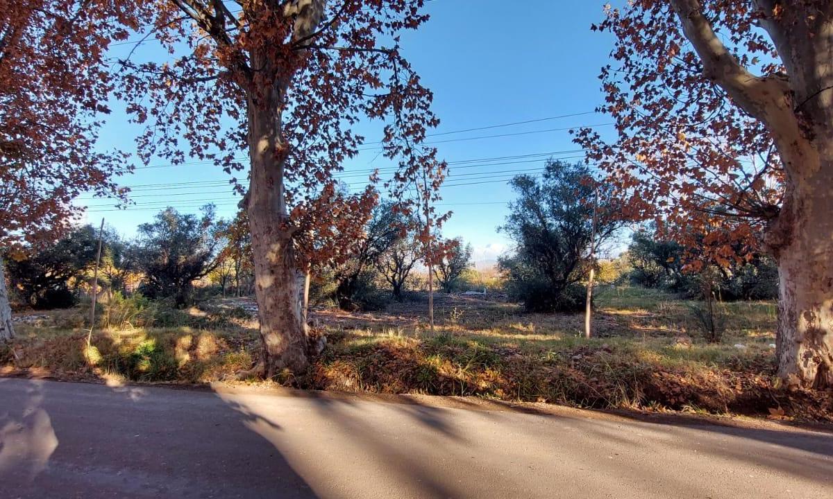 Importante Terreno Sobre Calle Terrada 2