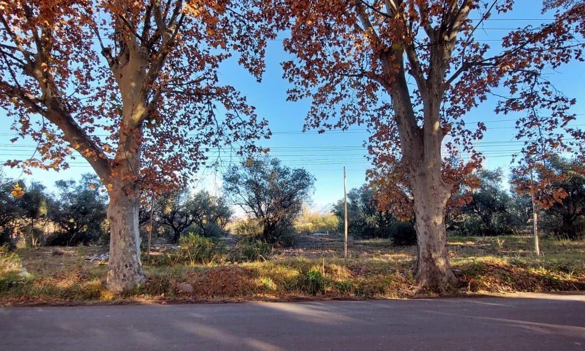 Propiedad en Argentina