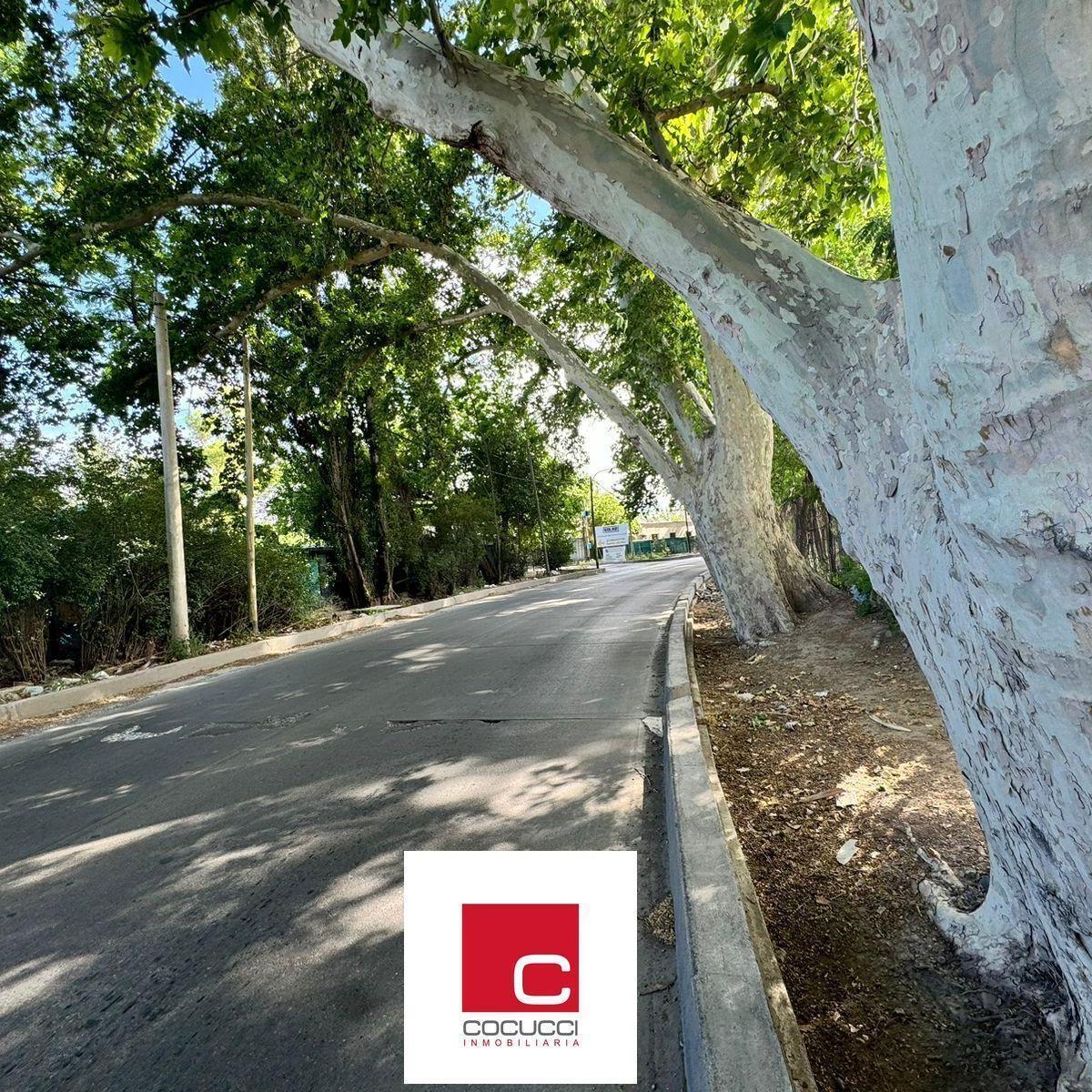 Terreno en Venta en Zona Comercial! 2