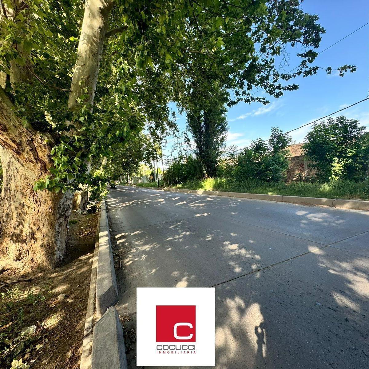 Terreno en Venta en Zona Comercial! 1