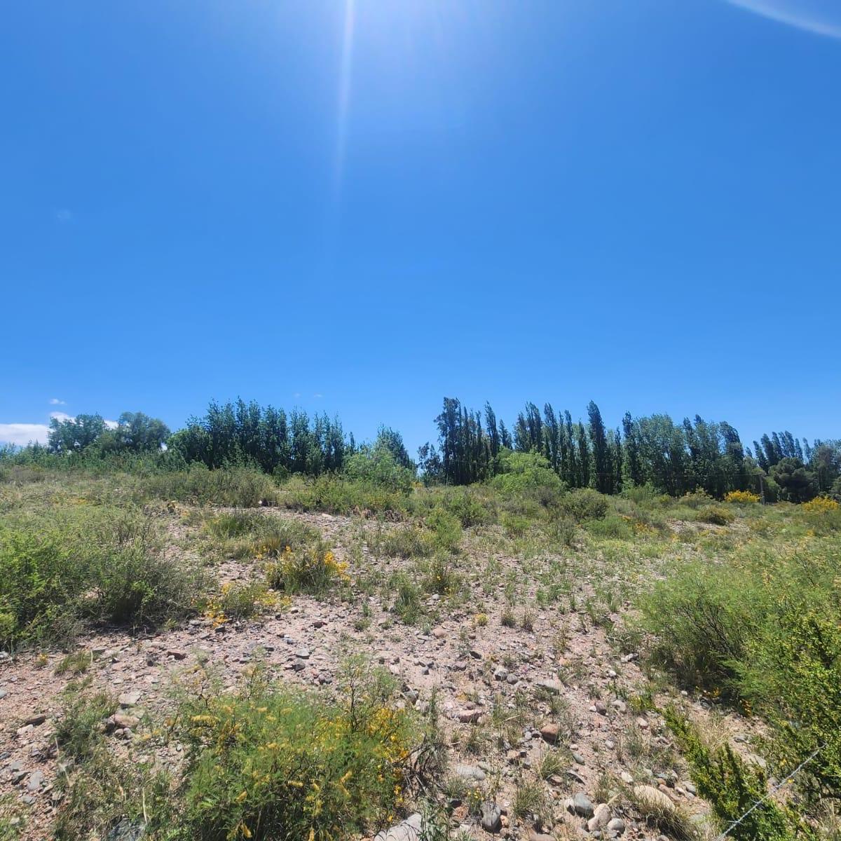 Terreno en Luján de Cuyo 5