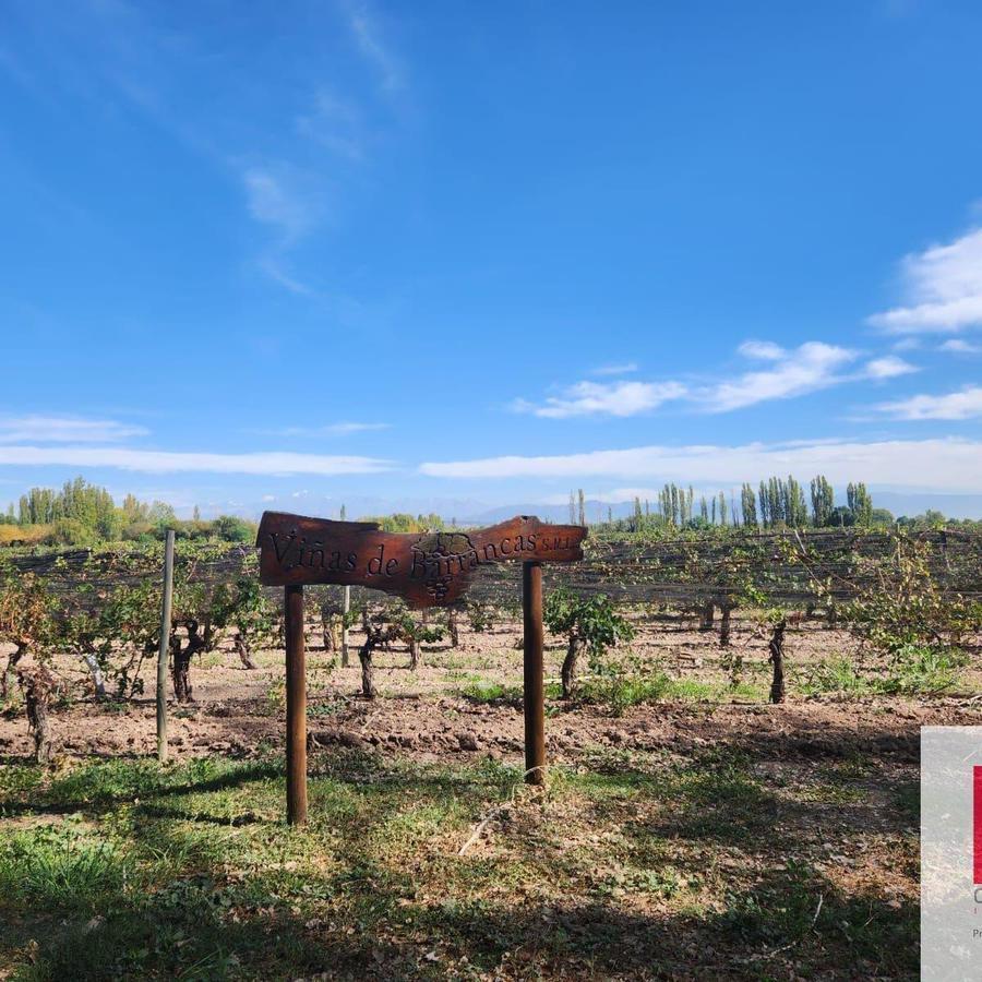 Barrancas - Ruta Provincial 14 5