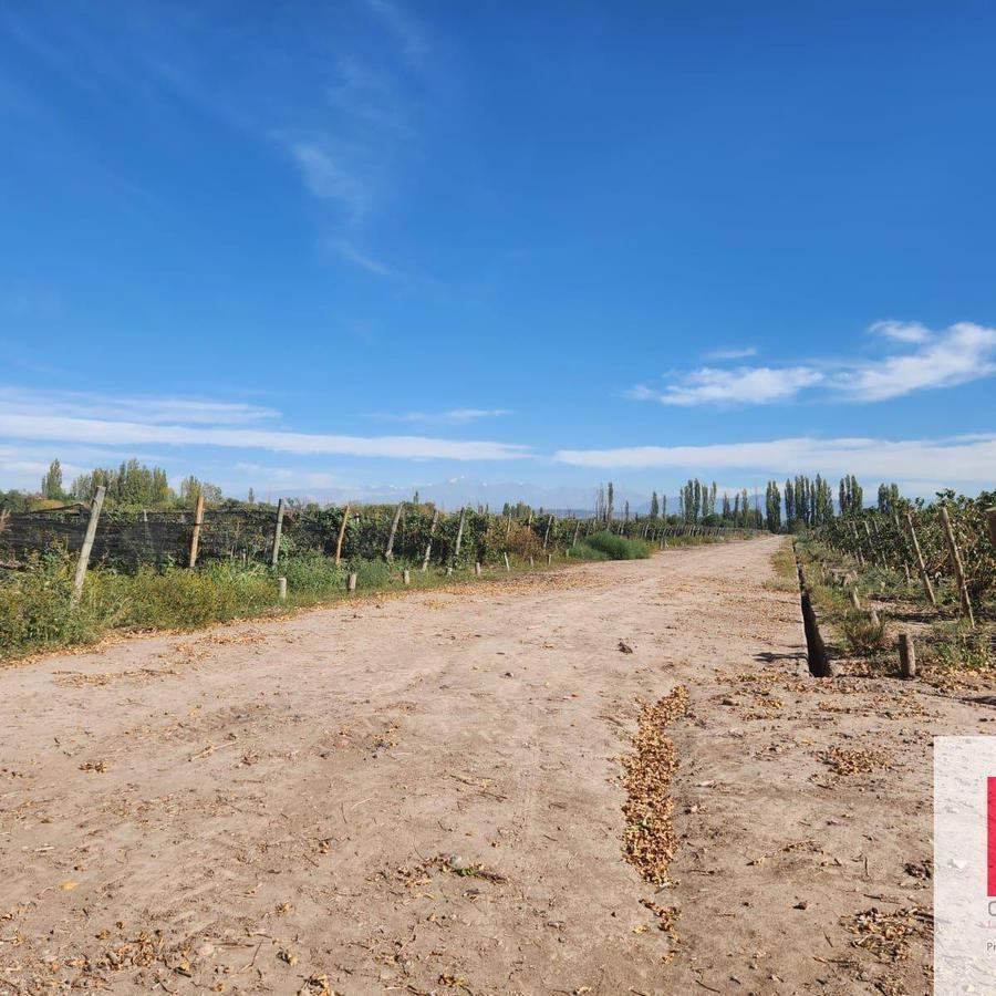 Barrancas - Ruta Provincial 14 3