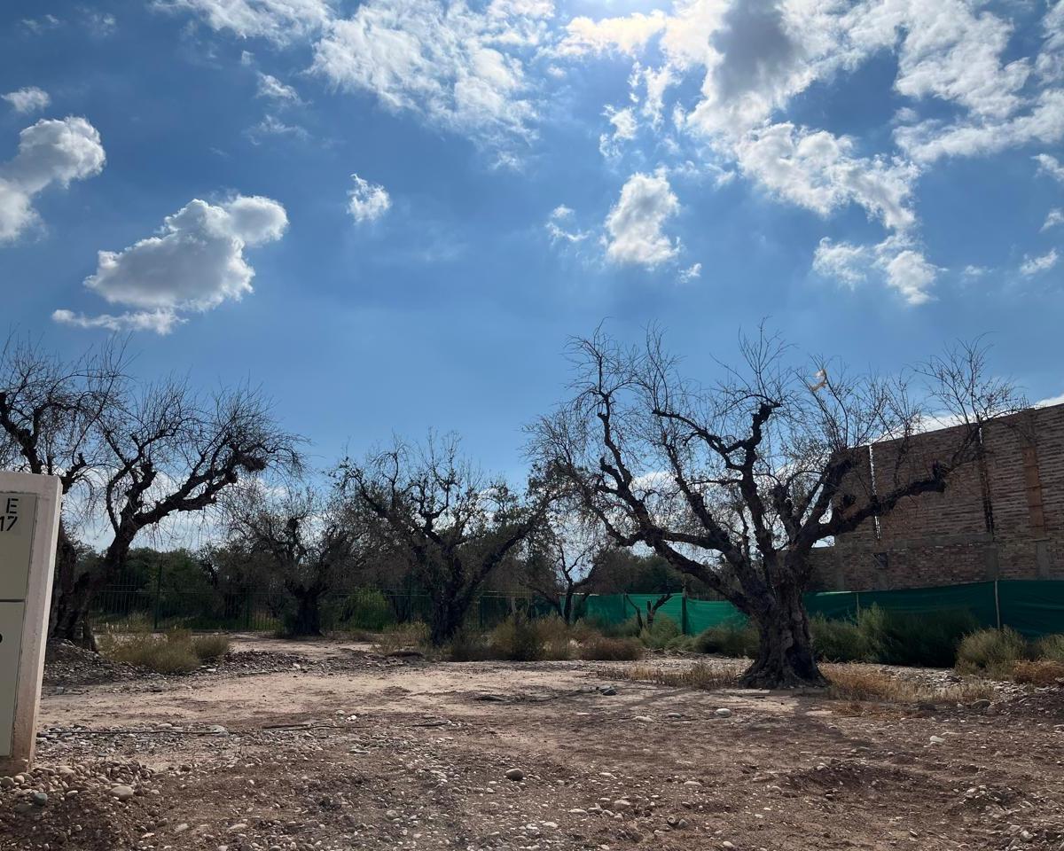 Lote en Maipu - Barrio Solar de Olivos 5