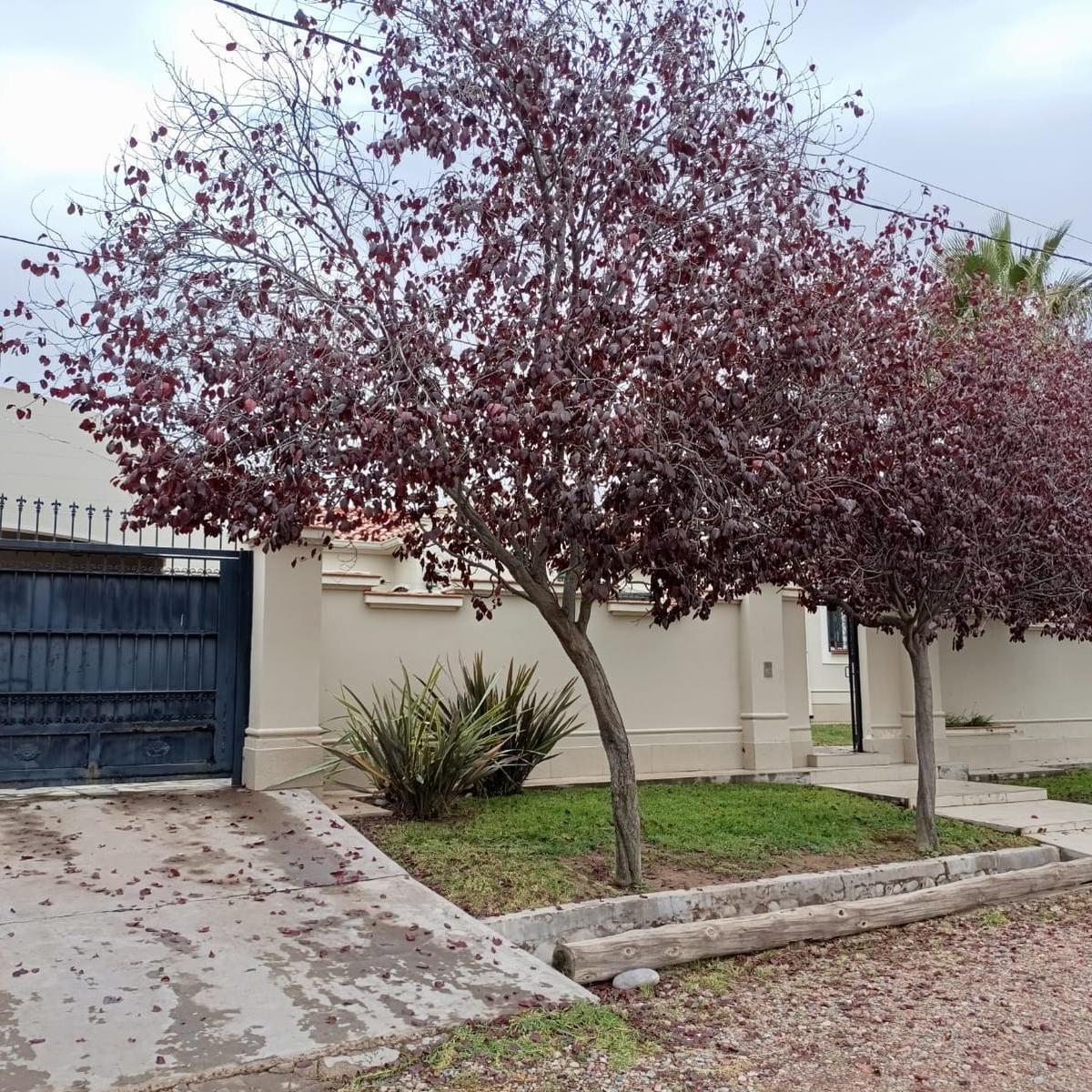 Casa en Venta Ubicada en Barrio Don David 3