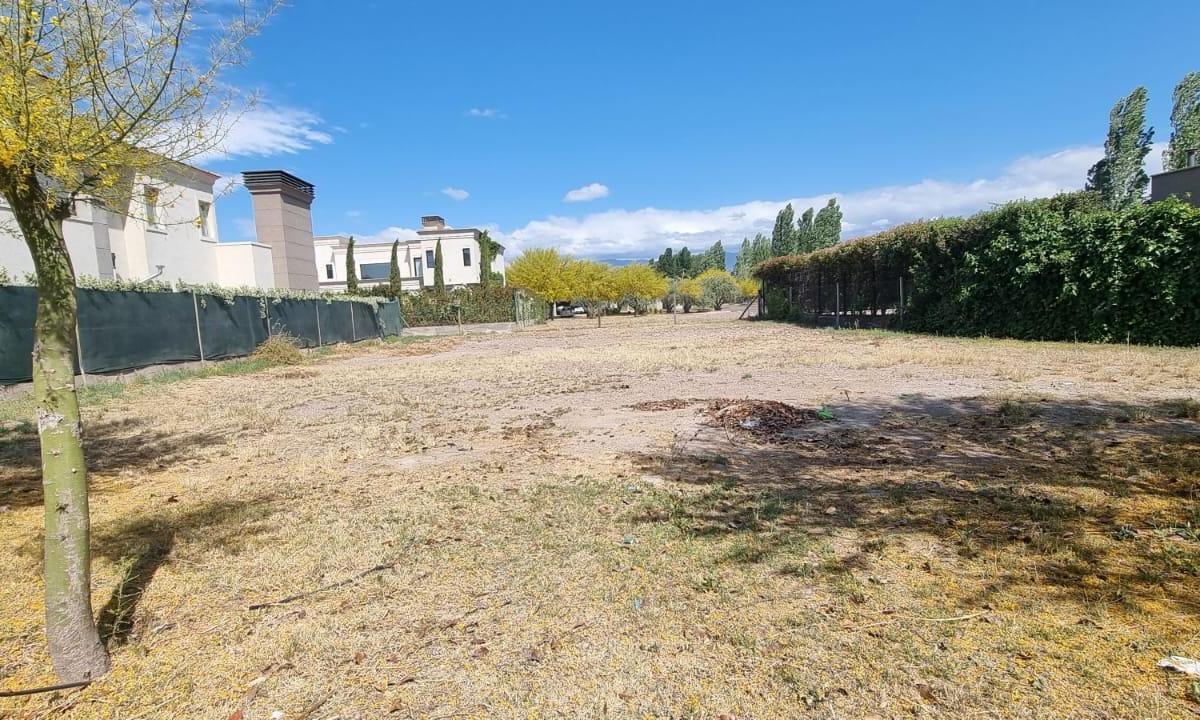 Los Teros - Elpidio Gonzalez 2711 Frente Club de Campo 4
