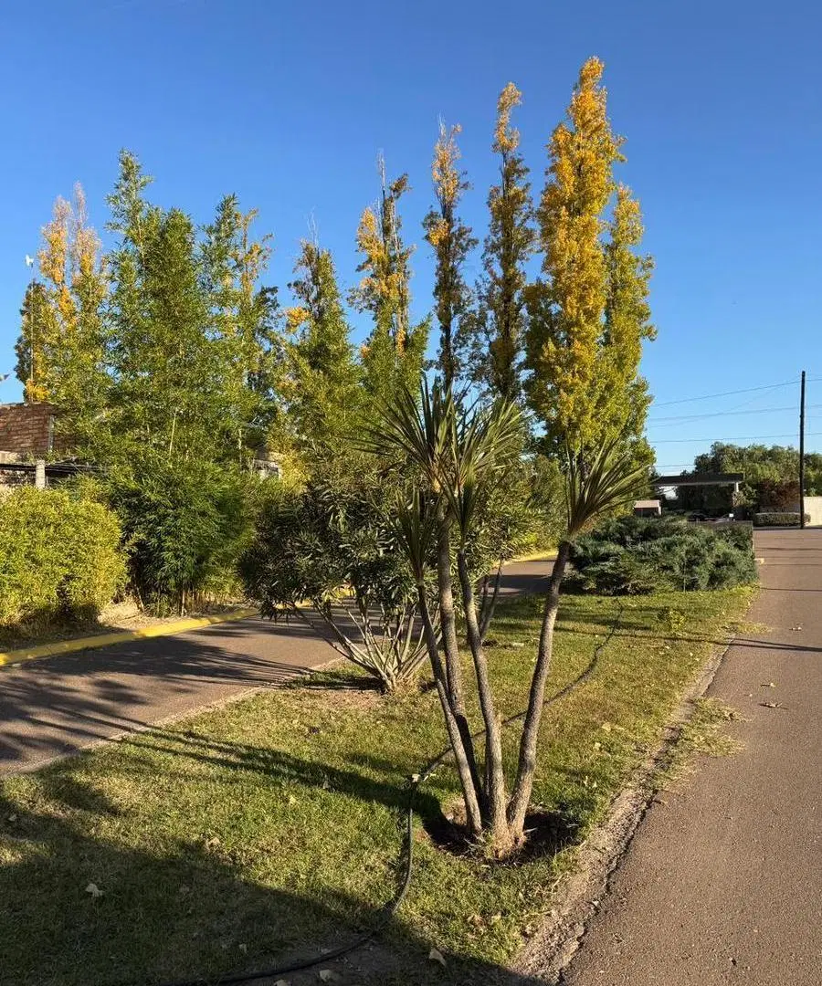 COCUCCI INMOBLIARIA VENDE terreno el Lujan De cuyo 2