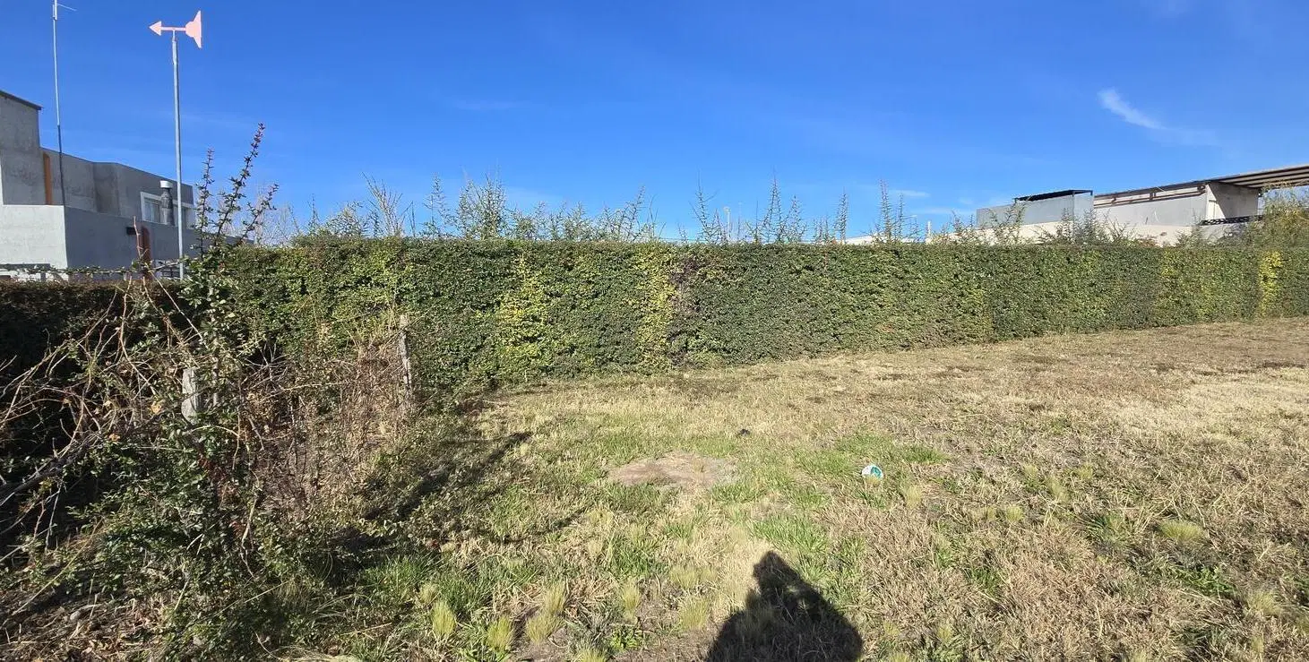 Terreno en Vistalba 3