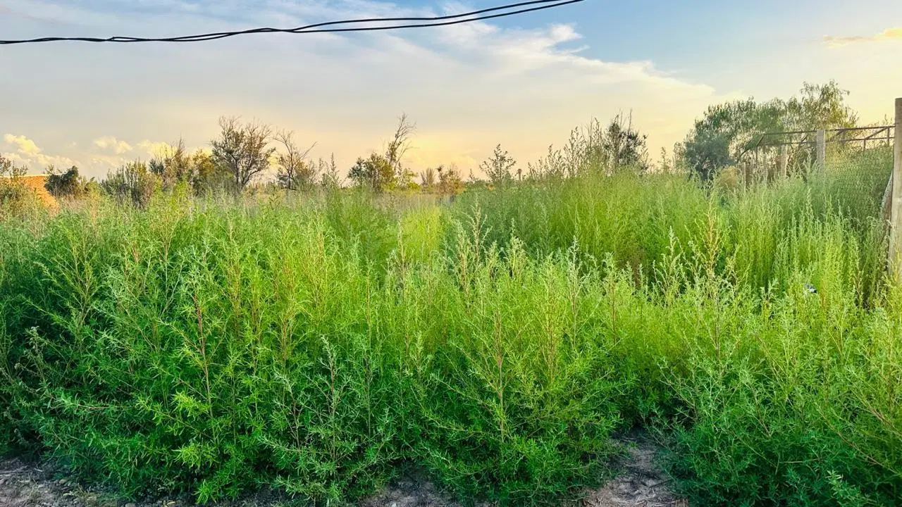 Terreno en venta en Barrio Cerrado 5