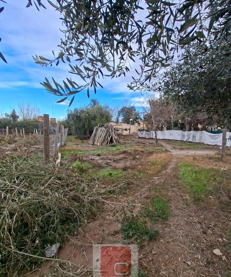 Foto de FINCA, imagen 2