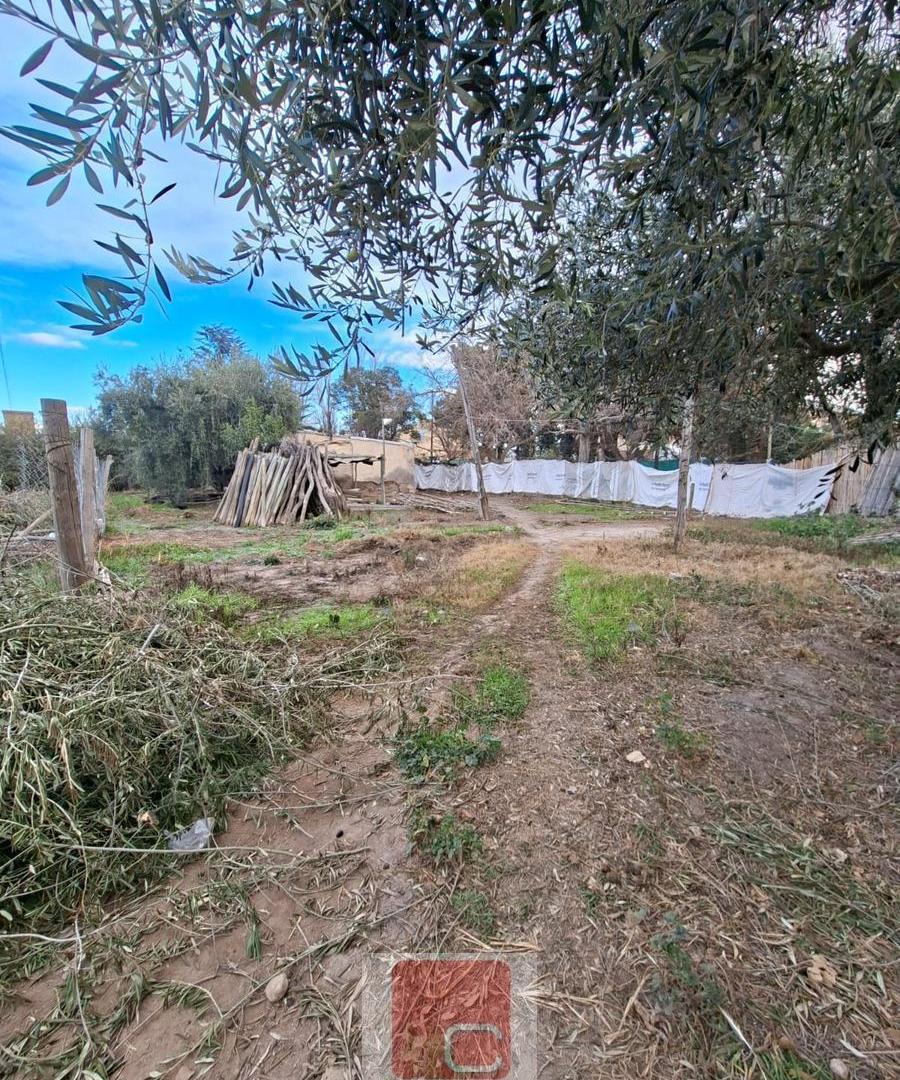 Foto de FINCA, imagen 5