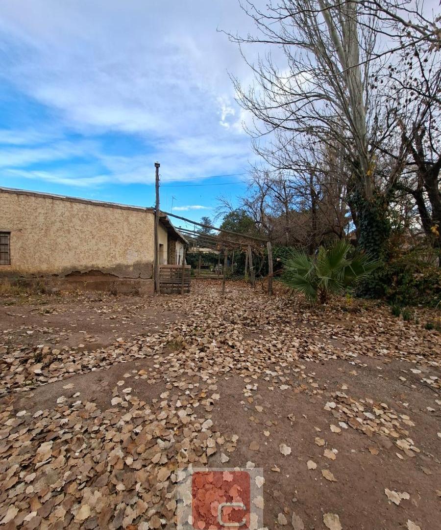 Foto de FINCA, imagen 4